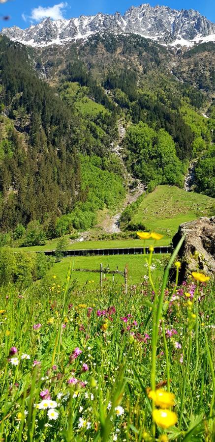 Lupshalte Villa Wassen Bagian luar foto